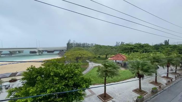 Cây cối rung lắc trong gió mạnh khi bão Dolphin quét qua thành phố Naha, tỉnh Okinawa, Nhật Bản, ngày 7/8/2026. Ảnh: Reuters.