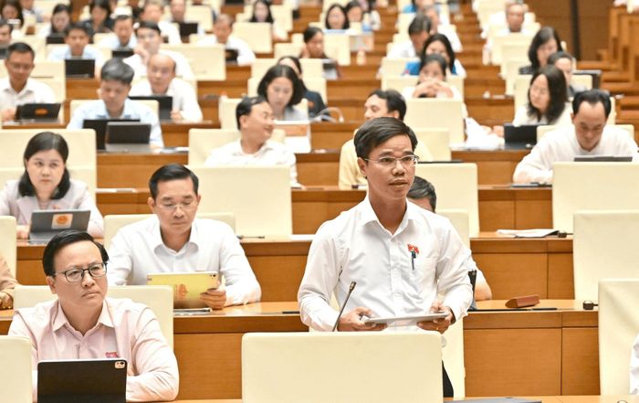 Đại biểu Nguyễn Xuân Nghiêm phát biểu thảo luận tại hội trường. Ảnh: Quốc hội