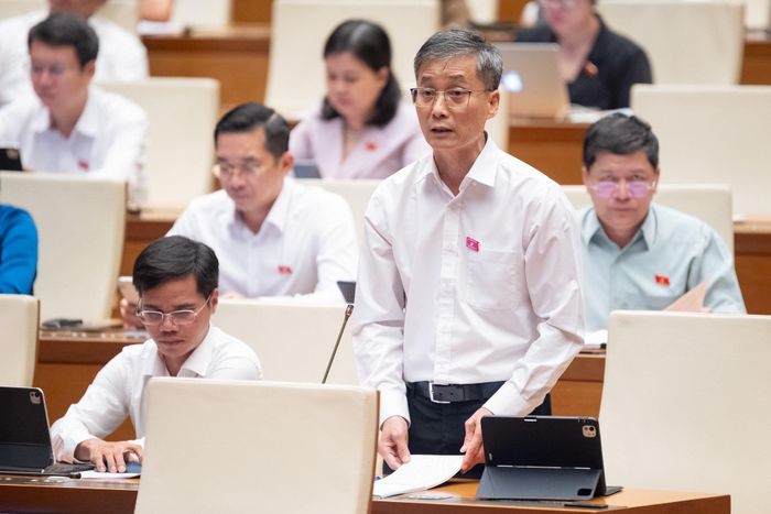 Đại biểu Nguyễn Khánh Ngọc phát biểu tại hội trường Quốc hội chiều 8/8. Ảnh: Quốc hội