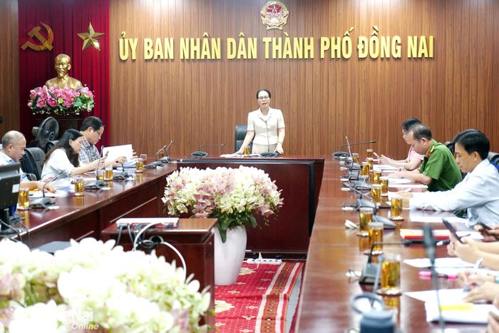 Giám đốc Sở Y tế Đỗ Thị Nguyên chủ trì cuộc họp. Ảnh: Hạnh Dung