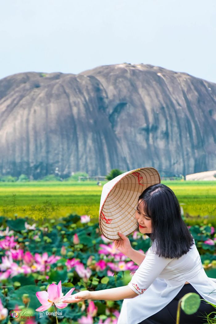 Điểm check-in mùa sen ở xã Phú Hòa. Ảnh: Lò Văn Hợp