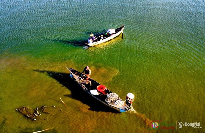 Cuộc sống của người làm nghề cá ở Bến Nôm từ lâu đã gắn với sự lên xuống của mực nước hồ Trị An. Ảnh: Cao Tuấn