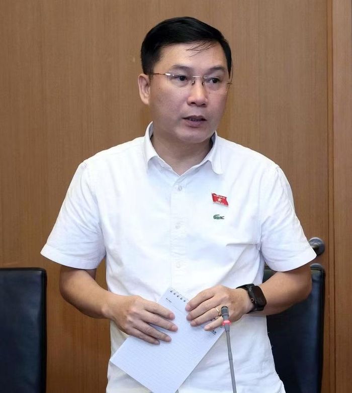  ĐB Lê Hoàng Anh đề nghị làm rõ khái niệm “cùng một lĩnh vực”. Ảnh: Đoàn ĐBQH tỉnh Gia Lai 