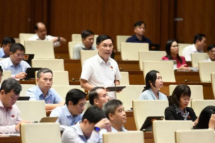 Đại biểu Lê Hoàng Anh cho rằng, nếu không xử lý dứt điểm, cùng một loại vi phạm đất đai có thể bị áp dụng hai cơ chế khác nhau, tùy cách cơ quan tố tụng nhìn nhận lĩnh vực. Ảnh: Đoàn ĐBQH tỉnh Gia Lai