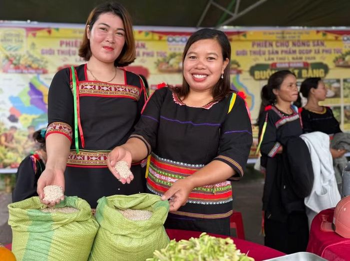 Gian hàng buôn Ma Giai (xã Phú Túc) giới thiệu loại gạo đỏ gắn với văn hóa làm lúa rẫy của đồng bào Chăm H'roi. Ảnh: Hoàng Ngọc 