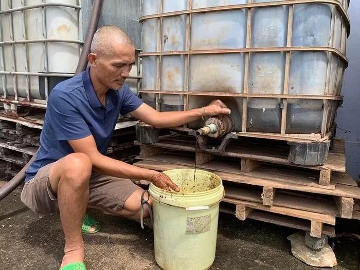  Ông Nguyễn Tấn Công - Chủ tịch Hội đồng quản trị HTX Nông nghiệp và Dịch vụ Nam Yang (xã Kon Gang) tiên phong tự sản xuất phân bón hữu cơ từ phụ phẩm để bón cho cà phê, hồ tiêu. Ảnh: H.T 