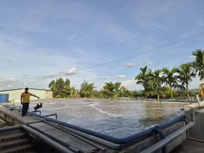  Công ty TNHH Tân Gia Băng (Khu công nghiệp Trà Đa, phường Pleiku) ứng dụng quy trình CNSH kết hợp hóa lý trong xử lý nước thải đạt cột B. Ảnh: H.T 
