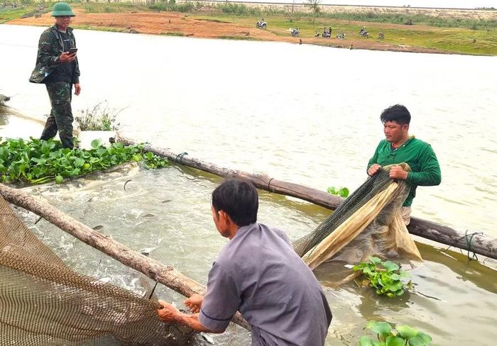  Toàn bộ số cá thu mua lại từ các hộ dân được tái thả xuống hồ. Ảnh: Huy Toàn 