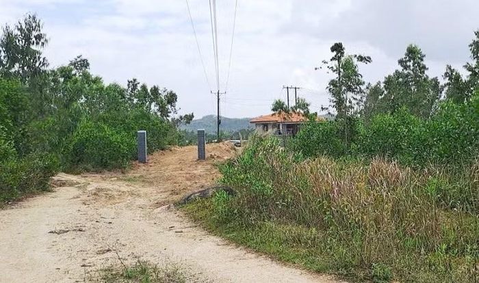  Công trình của ông Lưu Ngọc Hiền được xây dựng kiên cố bằng bê tông cốt thép trên đất trồng cây hằng năm. Ảnh: M.N 