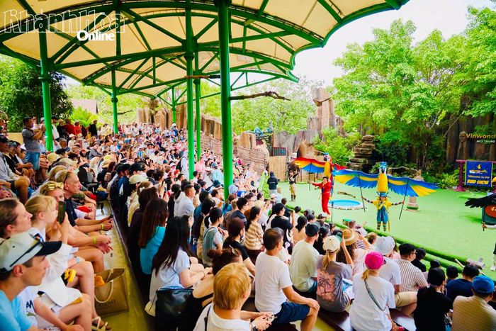 Khách du lịch xem xiếc chim ở VinWonders Nha Trang.