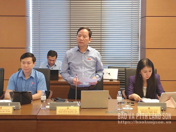 Đại biểu Nguyễn Đặng Ân, Phó Trưởng Đoàn chuyên trách Đoàn ĐBQH tỉnh phát biểu thảo luận ở tổ