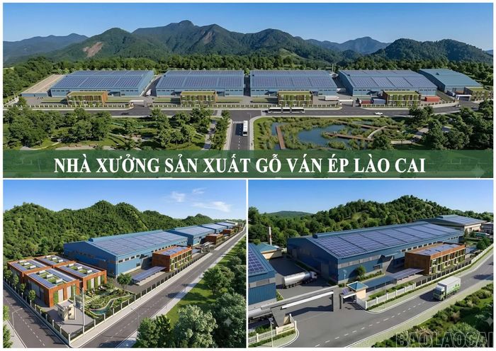 Phối cảnh dự án.