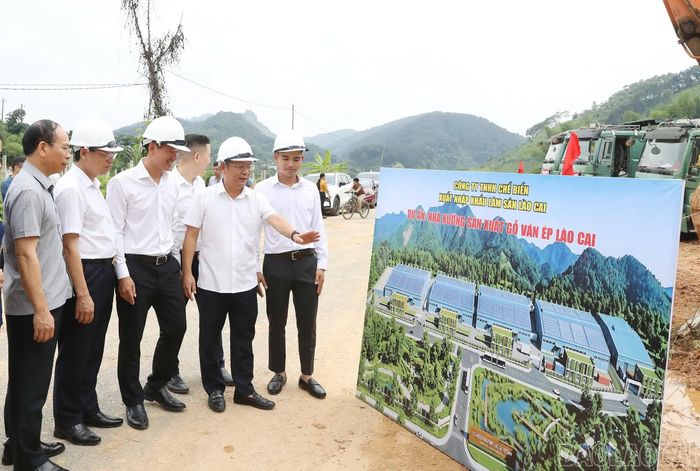Các đại biểu tham quan khu vực thực hiện Dự án Nhà xưởng sản xuất gỗ ván ép Lào Cai.