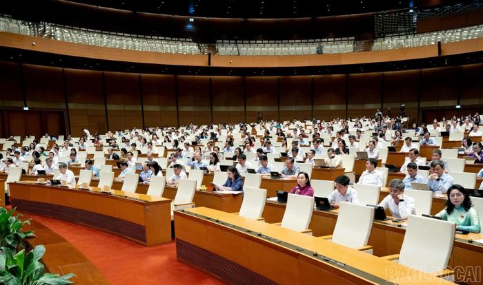 Các đại biểu tham dự phiên thảo luận tại hội trường.