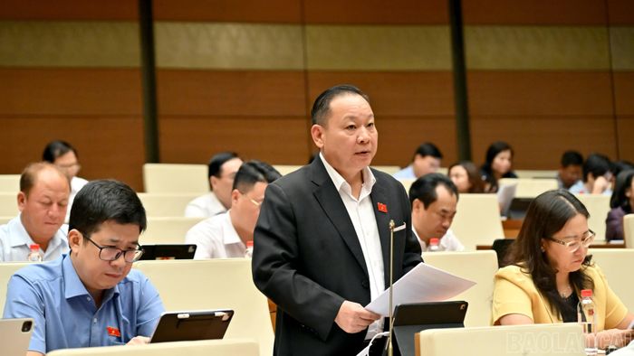 Đại biểu Quốc hội tỉnh Lào Cai Tráng A Dương tham gia thảo luận về dự án Luật Dầu khí (sửa đổi).