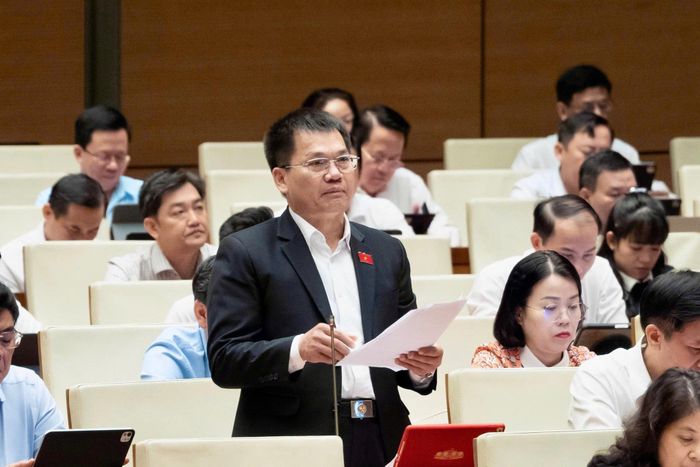 Đại biểu Dương Khắc Mai, Phó Trưởng đoàn chuyên trách Đoàn ĐBQH tỉnh Lâm Đồng phát biểu tại hội trường