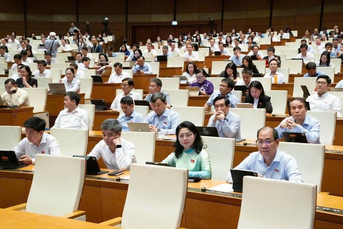 Các đại biểu tham dự