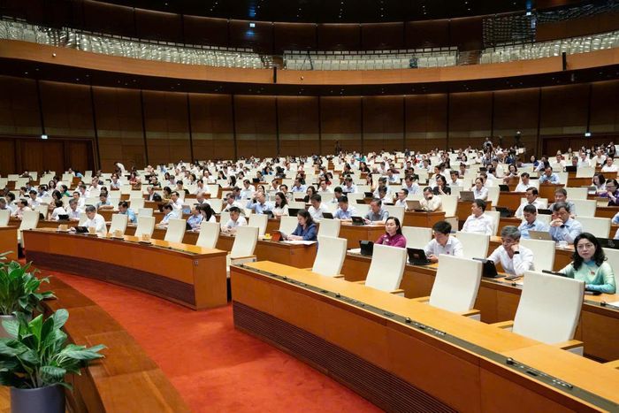 Các đại biểu tham dự