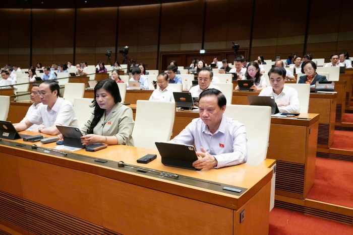 Các đại biểu tham dự