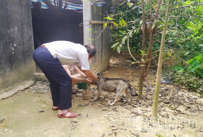 Chủ động tiêm phòng vắc xin dại cho đàn chó, mèo là biện pháp hiệu quả để phòng bệnh, bảo vệ sức khỏe cộng đồng.