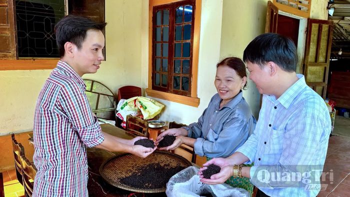 Niềm vui của người trồng tiêu Cồn Tiên khi hạt tiêu hữu cơ ngày càng khẳng định giá trị trên thị trường - Ảnh: Quang Ngọc
