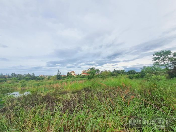 Địa điểm thực hiện dự án phần lớn đang là một khu vực đất hoang - Ảnh: B.T