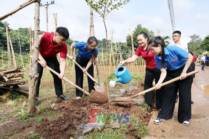 Đại biểu tham gia trồng cây xanh.