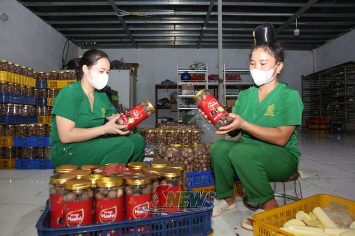 Sản phẩm tỏi đen Hoshi của Công ty TNHH Bảo Gia 26 đạt chuẩn OCOP 4 sao cấp tỉnh