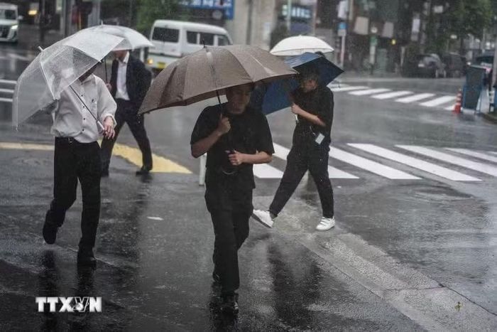 Một cơn bão gây mưa lớn tại Nhật Bản. (Ảnh: THX/TTXVN)