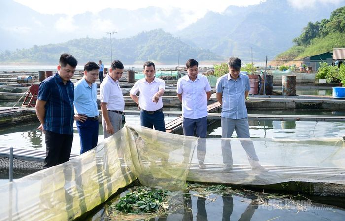 Đại biểu tham quan mô hình nuôi cá lồng của HTX Thủy sản Làng chài, xã Nà Hang.