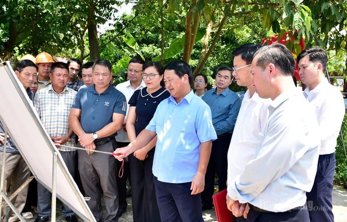 Đồng chí Bí thư Tỉnh ủy Hầu A Lềnh và đoàn công tác nghe báo cáo tiến độ thi công hạ tầng Cụm Công nghiệp Ninh Lai- Thiện Kế, xã Sơn Thuỷ.