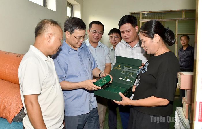 Chủ tịch HĐND tỉnh Nguyễn Văn Sơn tìm hiểu các sản phẩm của HTX Sơn Trà.