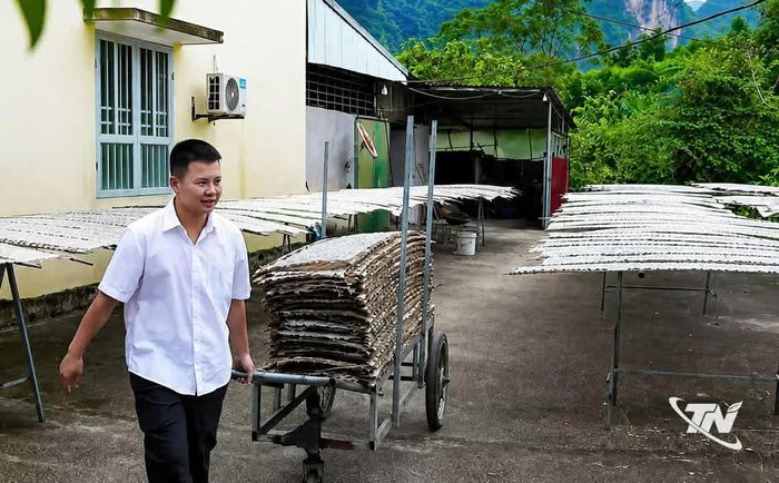 Sản xuất mỳ tại HTX Mỳ gạo Tiền Phong.
