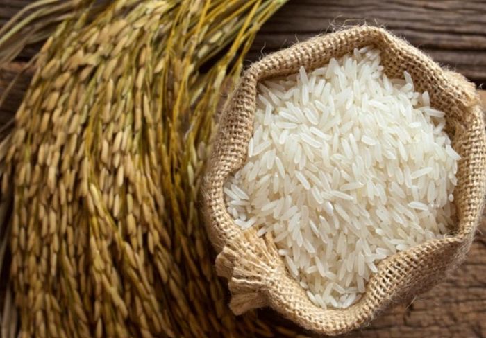 Giá lúa hôm nay tại khu vực Đồng bằng sông Cửu Long tiếp tục đà tăng. Ảnh minh họa