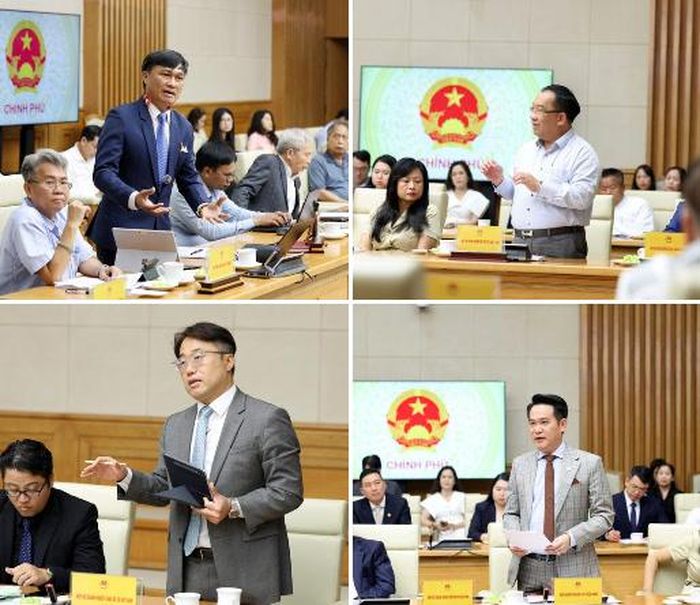 Đại diện cộng đồng doanh nghiệp phát biểu ý kiến. Ảnh: chinhphu.vn