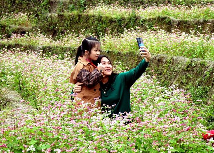 Du khách chụp ảnh lưu niệm cùng hoa Tam giác mạch