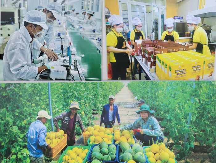 Chương trình nâng cao chất lượng, giá trị nông sản gắn với phát triển thị trường của TP. Hồ Chí Minh sẽ giúp chuyển dịch mạnh mẽ mô hình sản xuất truyền thống sang kinh tế nông nghiệp xanh, tuần hoàn, ứng dụng công nghệ cao