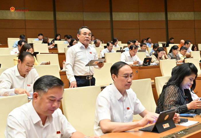 ĐBQH Lê Hữu Trí (Khánh Hòa) phát biểu. Ảnh: Quang Khánh