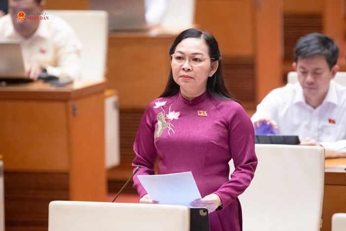 ĐBQH Lý Anh Thư (An Giang) phát biểu