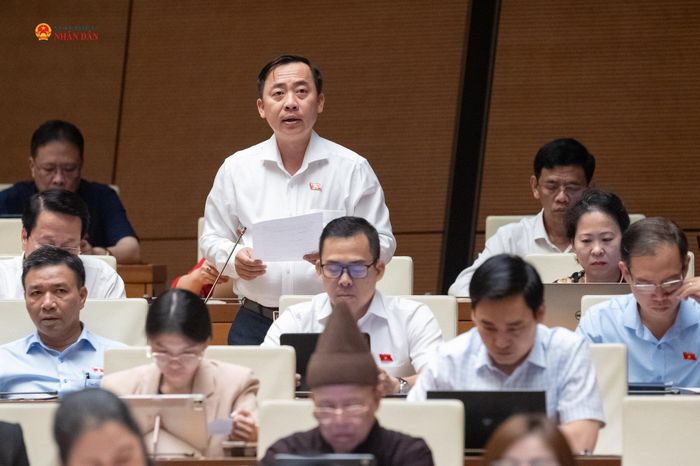 ĐBQH Đào Chí Nghĩa (TP. Cần Thơ) phát biểu