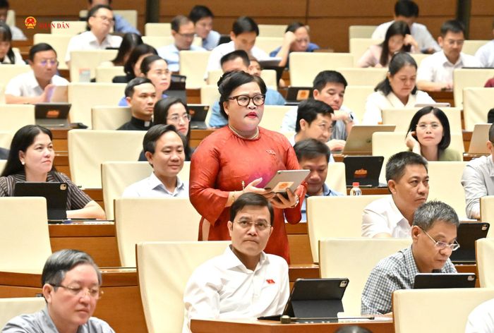 ĐBQH Nguyễn Thị Sửu (TP. Huế) phát biểu