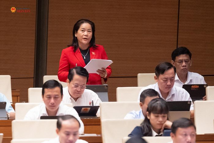 ĐBQH Lê Thị Thanh Lam (TP. Cần Thơ) phát biểu