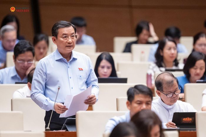 ĐBQH Phạm Trọng Nhân (TP. Hồ Chí Minh) phát biểu