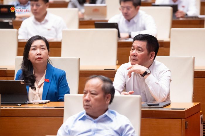 Phó Chủ tịch Quốc hội Nguyễn Hồng Diên và các đại biểu dự phiên họp