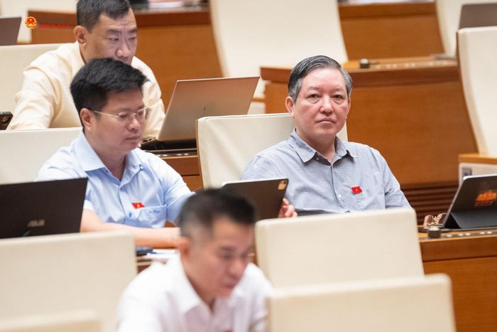 Các đại biểu dự phiên họp