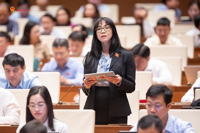ĐBQH Trịnh Thị Tú Anh (Lâm Đồng) phát biểu