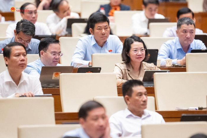 Các đại biểu dự phiên họp