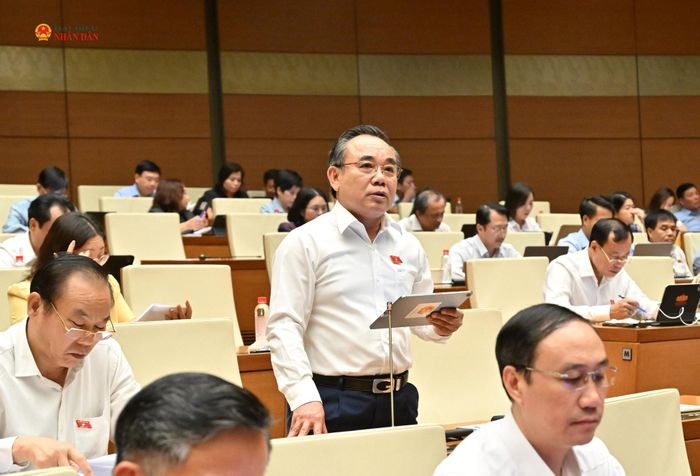 ĐBQH Lê Hữu Trí (Khánh Hòa) phát biểu