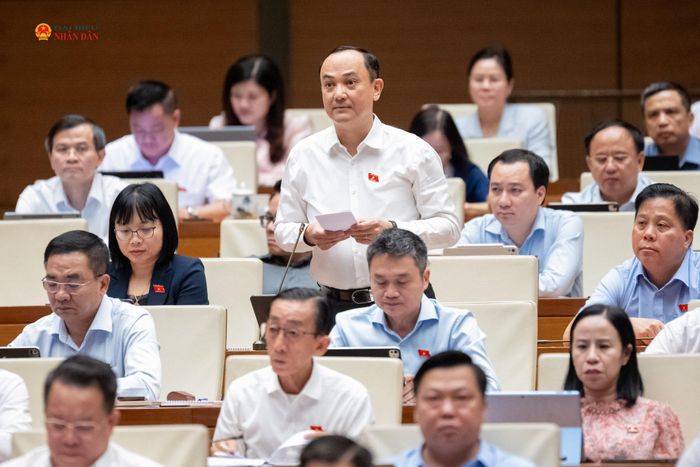 ĐBQH Nguyễn Ngọc Sơn (TP. Hải Phòng) phát biểu