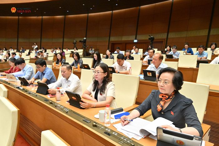 Phó Thủ tướng Phạm Thị Thanh Trà và các đại biểu dự phiên họp